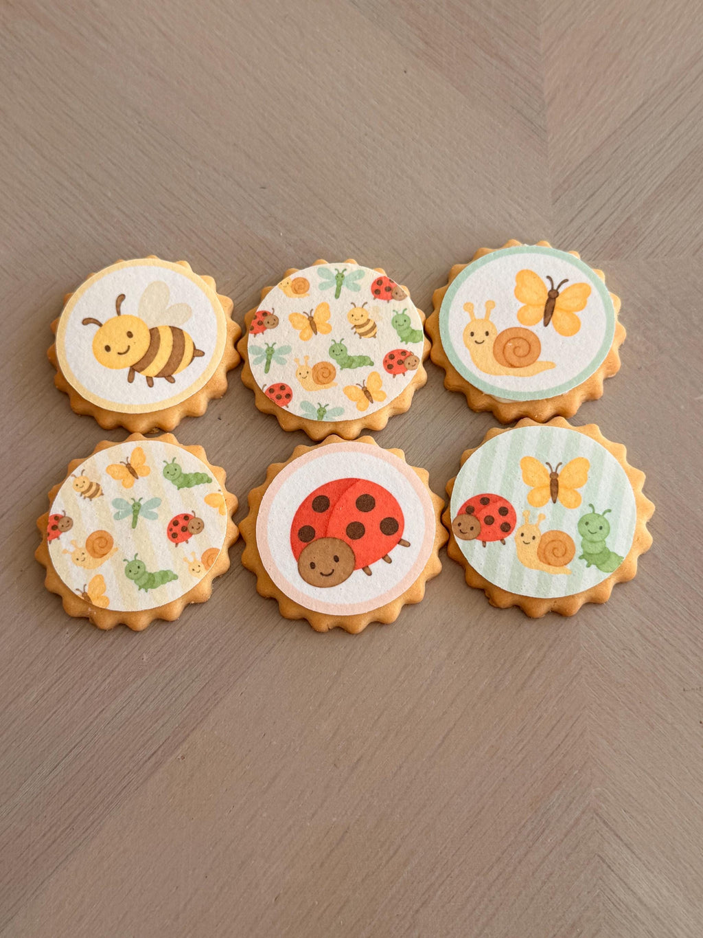 Garden Insect Edible Biscuit & Cupcake Toppers