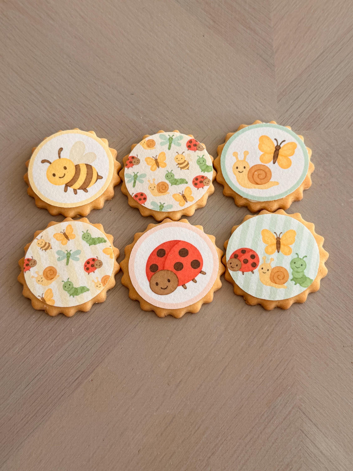 Garden Insect Edible Biscuit & Cupcake Toppers