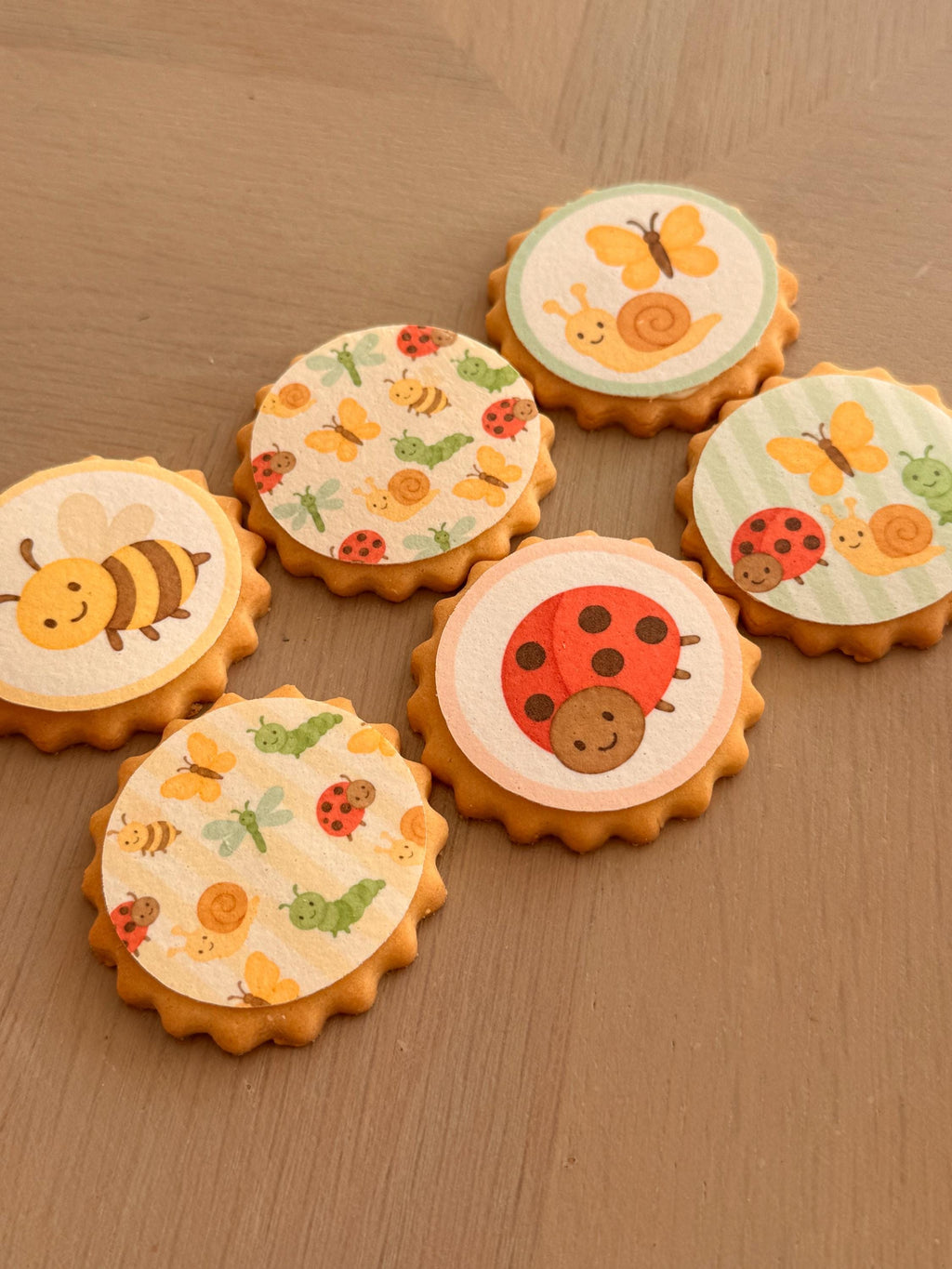 Garden Insect Edible Biscuit & Cupcake Toppers