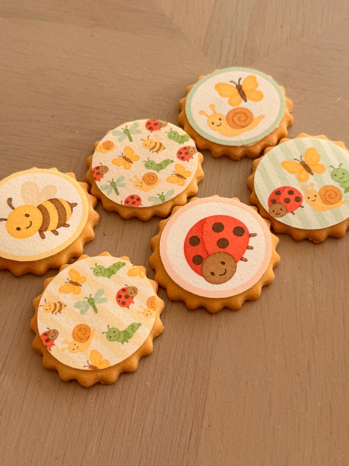 Garden Insect Edible Biscuit & Cupcake Toppers