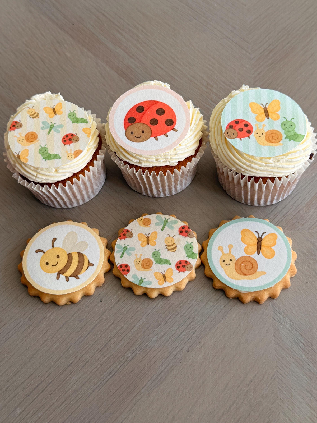 Garden Insect Edible Biscuit & Cupcake Toppers